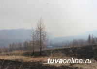 За сутки в Туве ликвидированы три крупных пожара