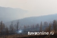 Ликвидирован крупный пожар на Тодже