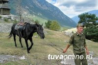 В российской армии станет больше кавалеристов, в том числе за счет 55-й мотострелковой бригады в Туве