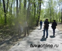 Тувинский штаб ОНФ подключился к защите леса