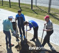 Глава Кызыла Дина Оюн: Нынешней весной удалось посадить почти 500 деревьев