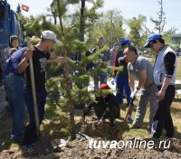 Глава Кызыла Дина Оюн: Нынешней весной удалось посадить почти 500 деревьев