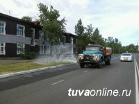 Глава Кызыла Дина Оюн: Нынешней весной удалось посадить почти 500 деревьев