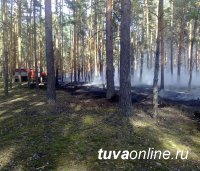В Туве локализован один лесной действующий пожар
