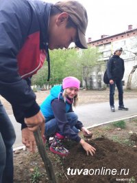 Кызыл снова постепенно становится цветущим