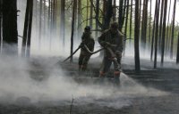 Эксперты: для борьбы с пожарами на границе России и Монголии нужны единые диспетчеры