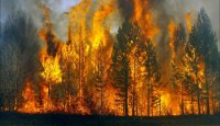 Жаркая до +37 погода в Туве и грозы провоцируют новые лесные пожары