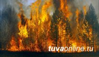 В Туве действуют 54 пожара