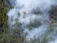 В ликвидации лесных пожаров в Туве задействовано 360 человек