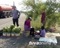 Мобильные экологические посты в Кызыле. Телефон 20489