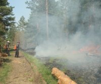 В Туве +40. Действуют 16 лесных пожаров