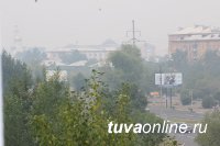 Уровень задымленности в Кызыле не превышает норму