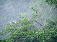 В Туве 24 июля ожидаются грозы и сильный ветер