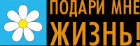 В медицинских учреждениях Тувы проходит акция против абортов «Подари мне жизнь!»