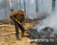 В ликвидации лесных пожаров в Туве участвуют более 300 человек