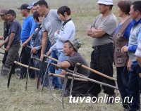 В Туве заготавливать корма на зимовку будут всем миром. Пример подают члены правительства во главе с Шолбаном Кара-оолом