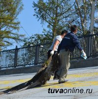 Кызылчане убрали родной город накануне Дня города