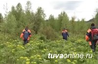 Спасатели Тувы ищут двух человек, пропавших при сборе ягод и орехов в тайге