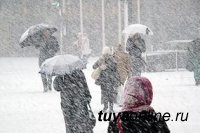 На территории Тувы ожидается резкое понижение температуры воздуха с выпадением снега и усилением ветра