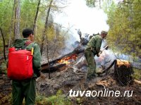 В Туве закрыт пожароопасный сезон на землях лесного фонда