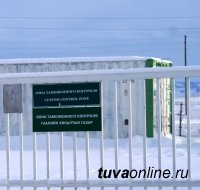 Должностные лица правовой группы Тувинской таможни ответят на вопросы в сфере таможенного дела