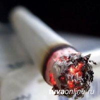 В Кызыле мужчина погиб на пожаре, который возник из-за непотушенной сигареты