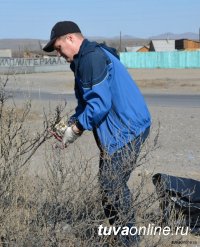 1 марта в Кызыле стартует акция "Чистый город"