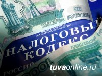 В Туве предпринимательницу привлекли к уголовной ответственности за уклонение от уплаты налогов