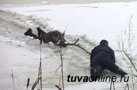 В Тоджинском кожууне Тувы спасен мужчина, упавший в проталину реки  Б.Енисей