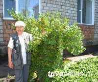 В конкурсе на лучшее благоустройство «Цветущий Кызыл» появились новые номинации