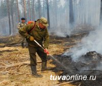 В Тандинском кожууне Тувы зарегистрирован первый лесной пожар