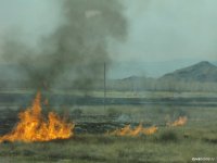 В Туве составлен первый протокол об административном правонарушении из-за поджога сухой травы