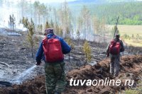 Лесной пожар в Каа-Хемском кожууне Тувы ликвидирован, возникли два новых - в Чаа-Хольском и Тоджинском