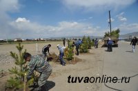 Глава Тувы помог с озеленением новостроек в поселке Каа-Хем
