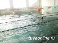 В открытом первенстве Кызыла по плаванию среди детей 2000-2010 гг р приняли участие спортсмены из Сорска
