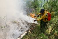Премьер Шолбан Кара-оол призвал земляков быть максимально осторожными с огнем и воздержаться от выхода в лес