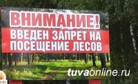 В Туве продлен особый противопожарный режим