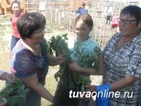 Союз женщин РТ организовал выездной мастер-класс по огородничеству в Эрзинском кожууне