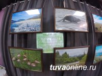 В Доме туризма в Кызыле открыта передвижная фотовыставка «Заповедное ожерелье Енисея»