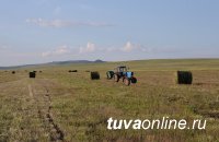 Глава Тувы Шолбан Кара-оол поставил задачу организованно провести кормозаготовительную кампанию