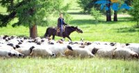 В отдаленном селе Кара-Холь молодые чабаны конкурировали за участие в проекта «Кыштаг для молодой семьи»