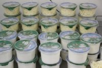 В Туве молочное производство набирает обороты, количество мини-цехов увеличилось с нуля до 16