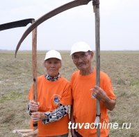 В Туве бригады косарей будут соревноваться в заготовке сена «под ключ». Жюри оценит технологию заготовки и калорийность кормов