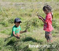 Команда Улуг-Хемского кожууна второй год побеждает в республиканском конкурсе косарей