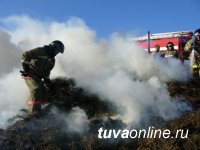 В Туве детская шалость с огнем привела к возгоранию сена