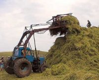 В Туве завершается уборочная страда