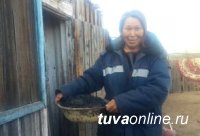 В Туве сельским семьям с пятью и более детьми начали выдавать бесплатный уголь В Туве сельским семьям с пятью и более детьми начали выдавать бесплатный уголь