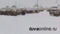 В Туве в связи с небывалами ранними снегопадами введен режим "Повышенной готовности"