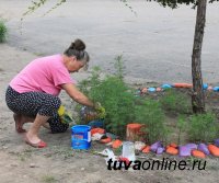 Минимум и максимум для благоустройства дворов - Минстрой России