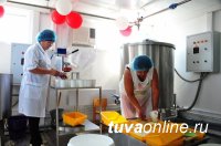 Объем господдержки сельской кооперации Тувы в 2016 году составил 45,2 млн. рублей